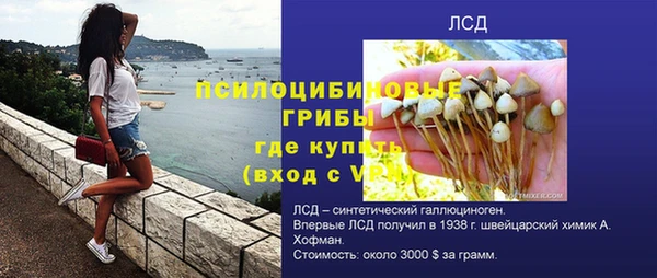 мескалин Новодвинск