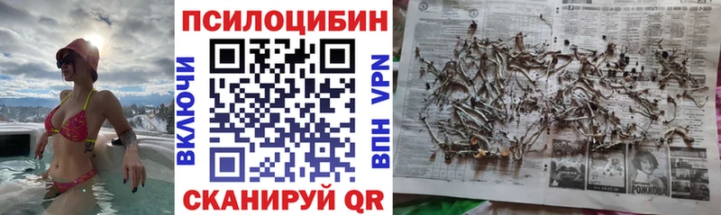 mega вход  Нытва  это как зайти  где можно купить наркотик  Псилоцибиновые грибы Psilocybe 
